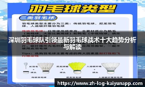 深圳羽毛球队引领最新羽毛球战术十大趋势分析与解读